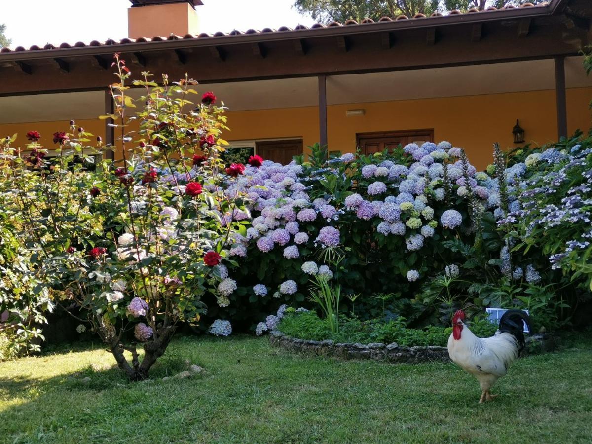 Hotel Rural El Retiro De San Pedro By Retirorural Аренас де Сан Педро Екстериор снимка