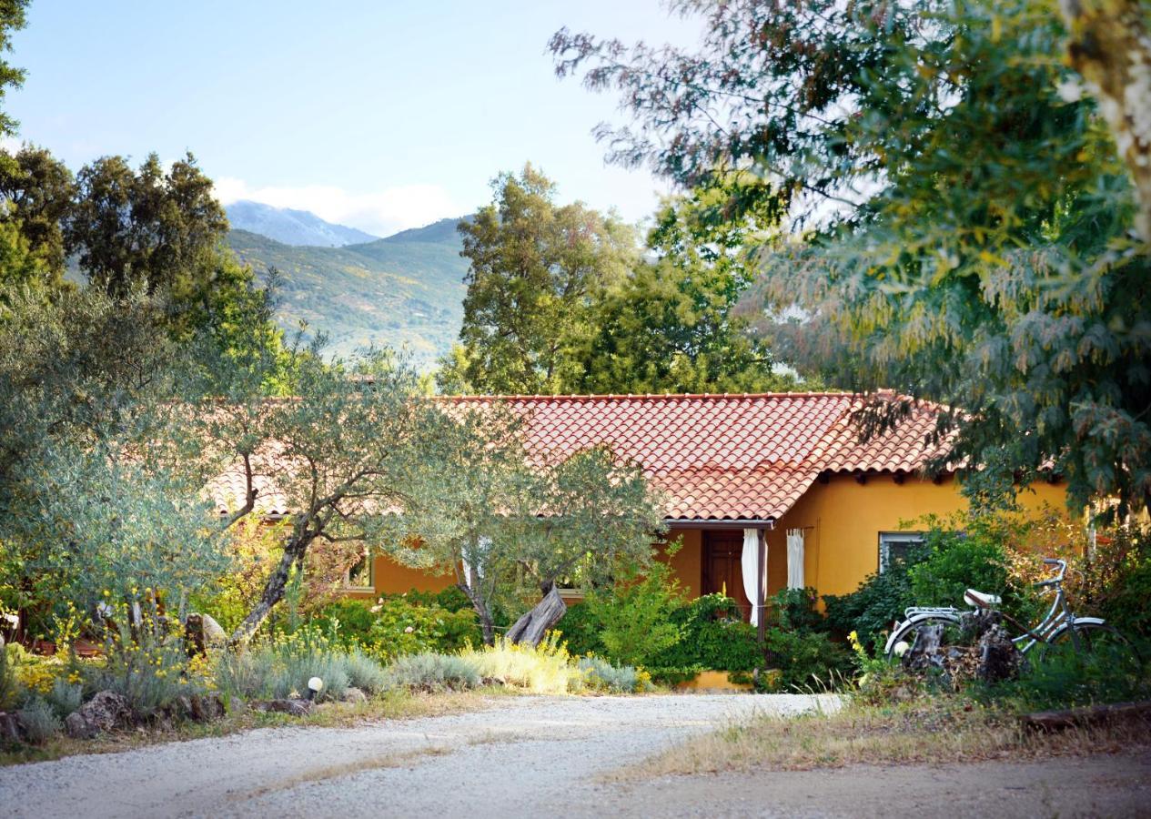 Hotel Rural El Retiro De San Pedro By Retirorural Аренас де Сан Педро Екстериор снимка